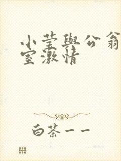 小莹与公翁办公室激情