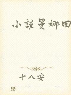 小说曼娜回忆录