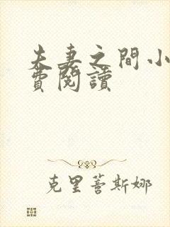 夫妻之间小说免费阅读