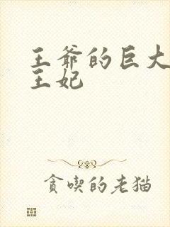 王爷的巨大进入王妃