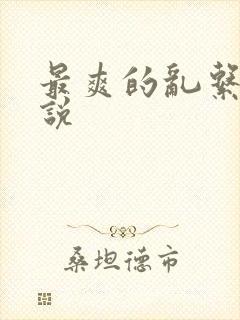 最爽的乱系列小说