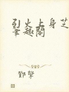 引火上身芝麻糖笔趣阁