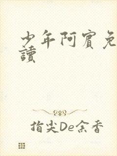 少年阿宾免费阅读