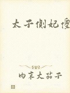 太子侧妃傻乎乎