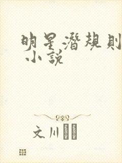 明星潜规则之皇 小说