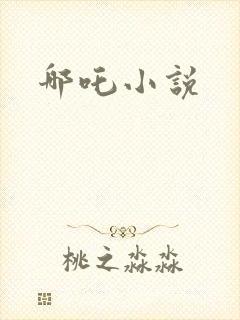 哪吒小说