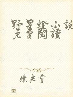 野星灯小说全文免费阅读