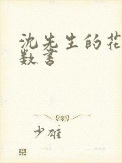 沈先生的花式调数书