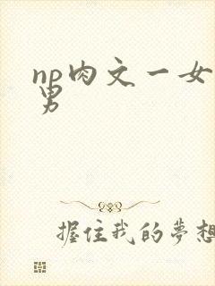 np肉文一女多男