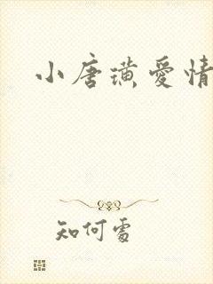 小唐璜爱情历史