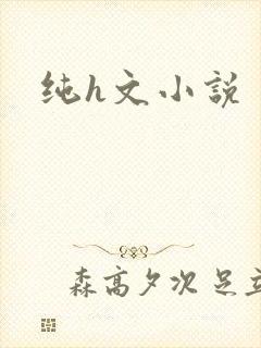 纯h文小说