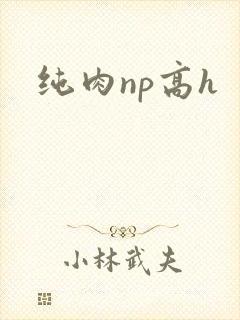 纯肉np高h