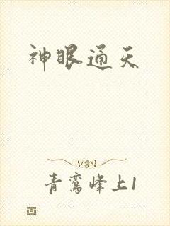 神眼通天