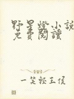 野星灯小说全文免费阅读