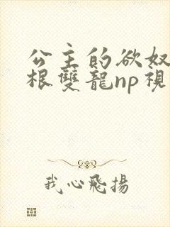 公主的欲奴h四根双龙np视频