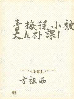 青梅从小被c到大h补课1