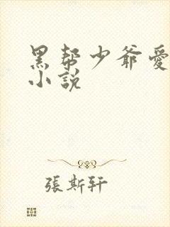 黑帮少爷爱上我小说