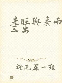 老旺与秦雨三进三出