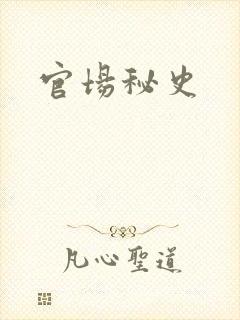 官场秘史
