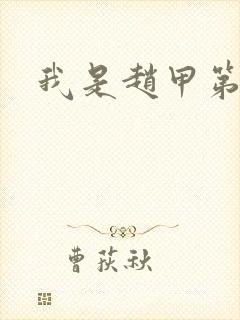 我是赵甲第小说