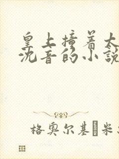 皇上撞着太子妃沈音的小说叫什么