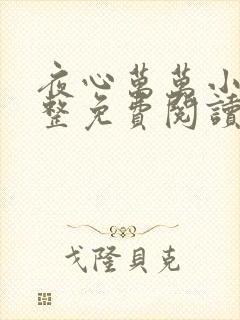 夜心万万小说完整免费阅读全文