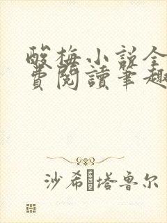 酸梅小说全文免费阅读笔趣阁