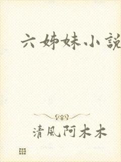 六姊妹小说