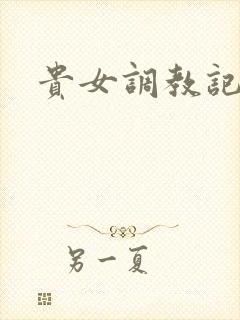 贵女调教记