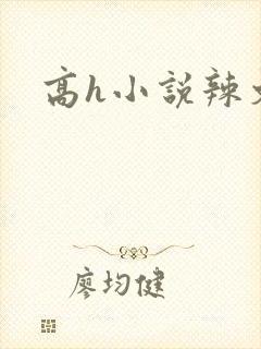 高h小说辣文