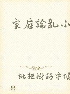 家庭论乱小说