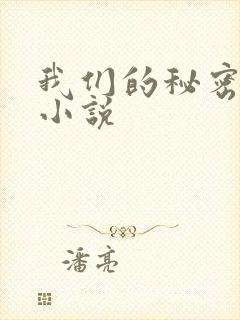 我们的秘密泰剧小说