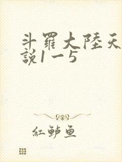 斗罗大陆天狂传说1一5