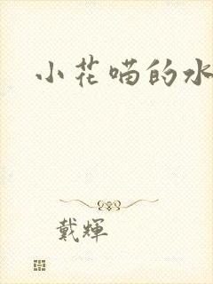 小花喵的水蜜桃