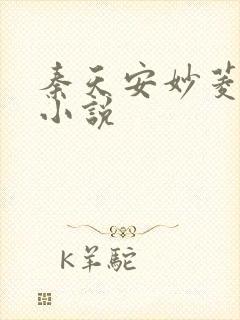 秦天安妙菱修仙小说