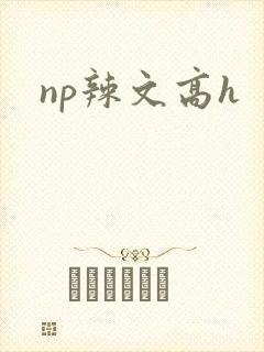 np辣文高h