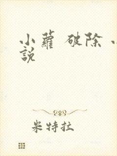 小萝 破除 小说