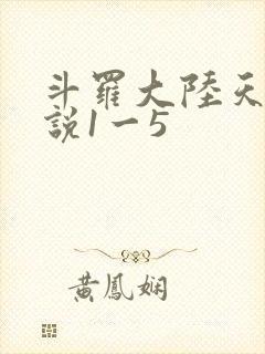 斗罗大陆天狂传说1一5