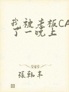 我被老板CAO了一晚上