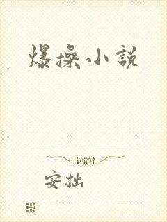 爆操小说