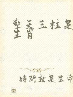 擎天玉柱是什么生肖