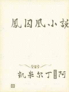 凤囚凰小说