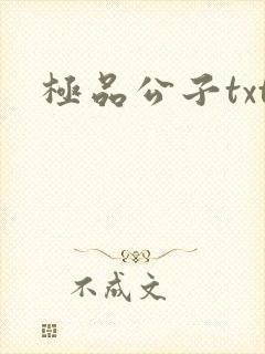 极品公子txt