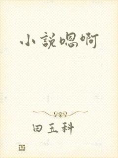 小说嗯啊