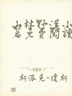 山林野汉小说全篇免费阅读