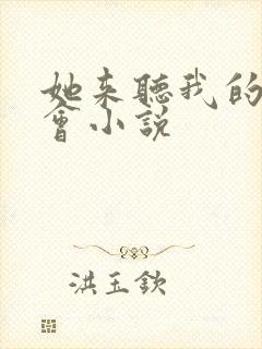 她来听我的演唱会小说