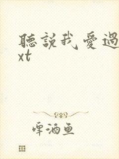 听说我爱过你txt