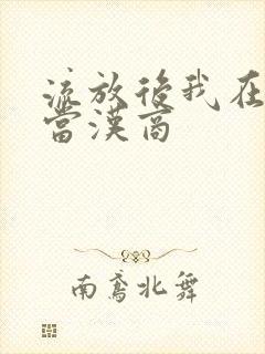 流放后我在敦煌当汉商