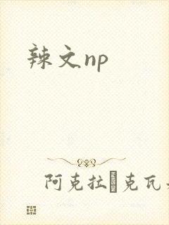 辣文np
