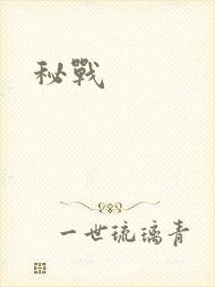 秘战